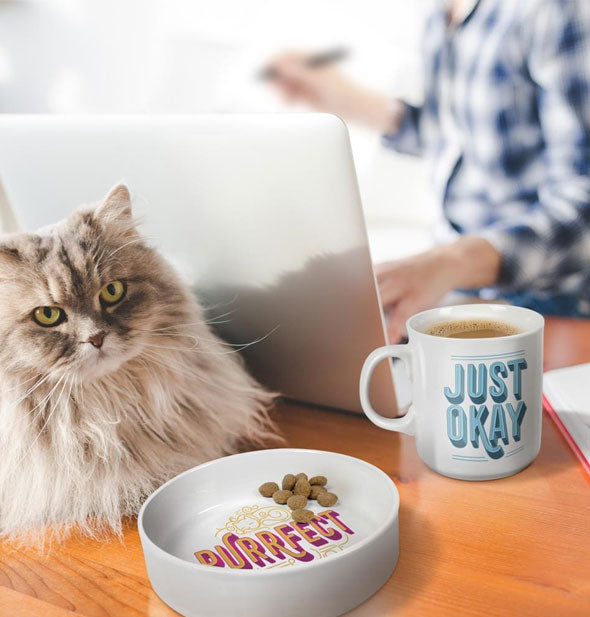 A cat is perched on a desktop with Purrfect food bowl and Just Okay coffee mug while a person works at a laptop in the background