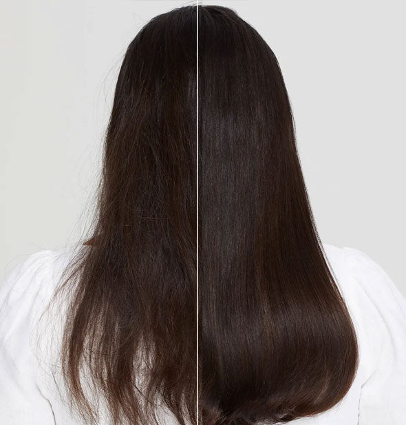Model's hair before and after using Paul Mitchell Clean Beauty Hydrate Shampoo and Conditioner