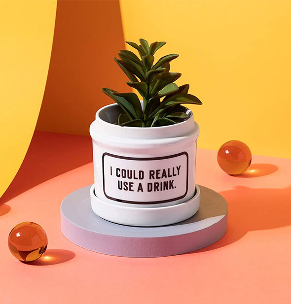 I Could Really Use a Drink planter pot with green plant inside sits on a colorful background staged with orange glass orbs