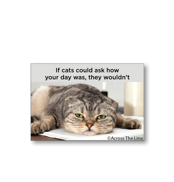 Rectangular magnet with image of a Scottish Fold laying down with paws splayed says, "If cats could ask how your day was, they wouldn't
