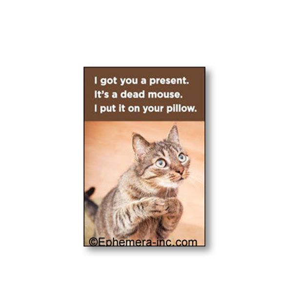 Rectangular magnet by Ephemera Inc. features image of an innocent-looking cat under the caption, "I got you a present. It's a dead mouse. I put it on your pillow."
