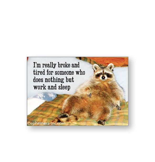 Rectangular magnet with image of a reclining raccoon says, "I'm really broke and tired for someone who does nothing but work and sleep"