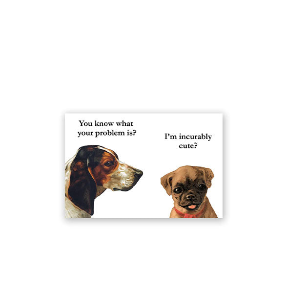 Rectangular white magnet features image of two dogs, one appearing to ask the other, "You know what your problem is?" and the other responding, "I'm incurably cute?"