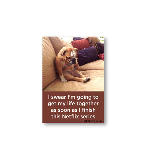 Rectangular magnet by Ephemera Inc. with image of an English Bulldog in a seated position on a couch says, "I swear I'm going to get my life together as soon as I finish this Netflix series"