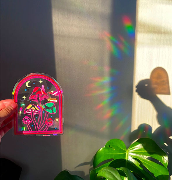 Model's hand holds a prismatic-effect mushrooms decal in direct sunlight, creating rainbows on the wall behind