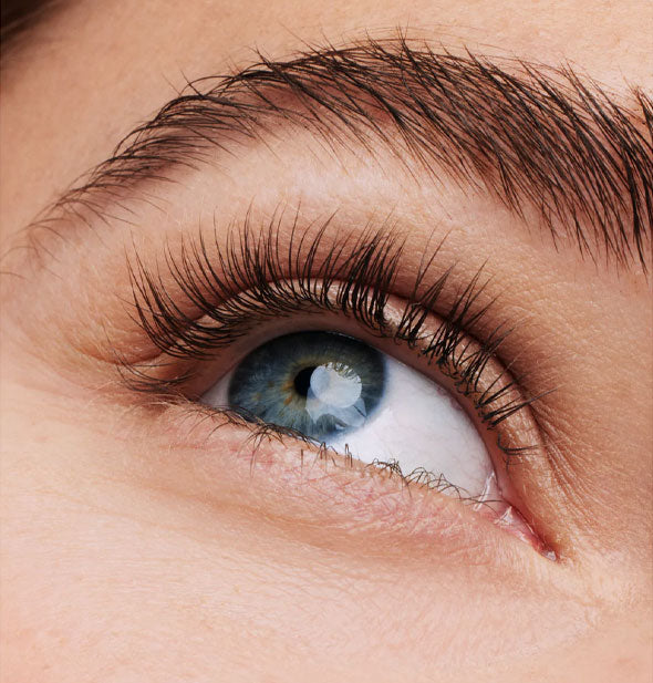 Model's eye with long, thick, dark eyelashes looks upward