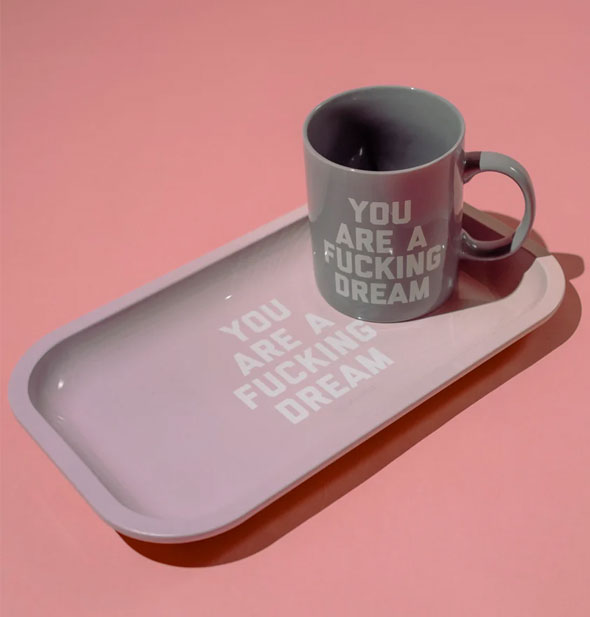 You Are a Fucking Dream pink tray and mug on a pink surface