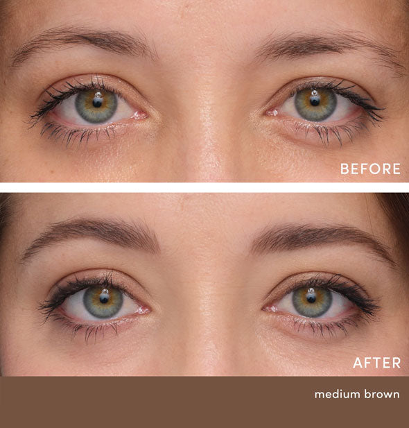 Model's eyebrows before and after applying Jane Iredale PureBrow Precision Pencil in Medium Brown