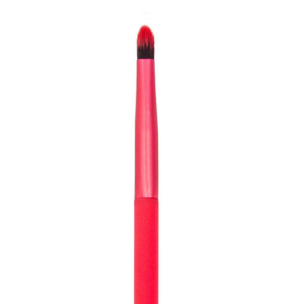 Royal Brush - Moda Pointed Lip Apricot Brush