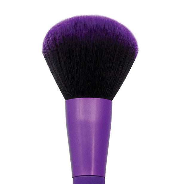 A close-up view of The Moda Powder Purple Brush by Royal Brush