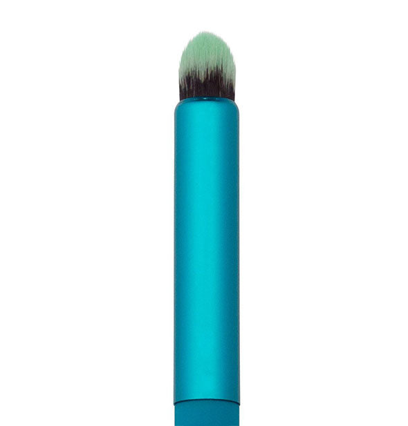 Closeup of blue eye makeup brush head with two-tone bristles in a soft point shape