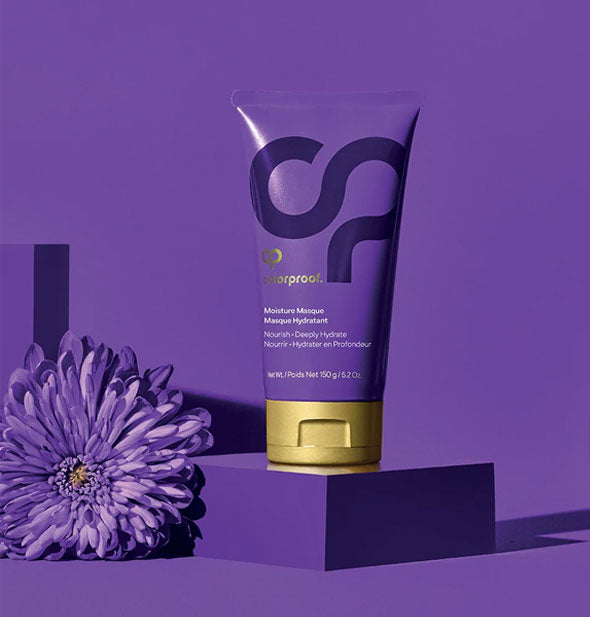 ColorProof Moisture Masque bottle sits on a purple block against a purple background with a purple flower