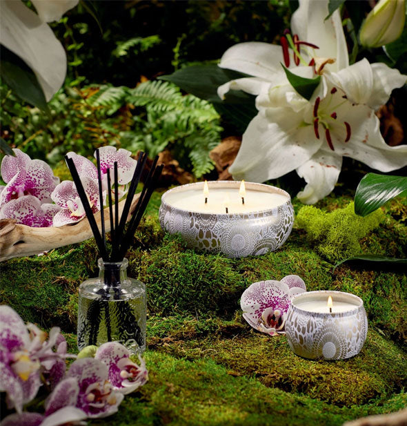 Decorative gold and silver candle tins and embossed glass reed diffuser are staged with orchids on a mossy surface
