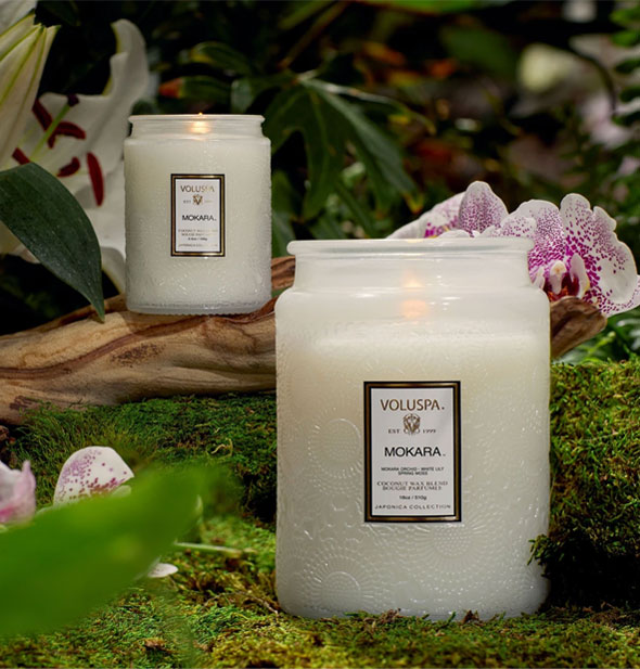 Two white embossed glass Mokara Voluspa candles on a mossy surface with pink speckled orchids