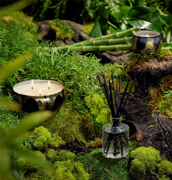 Decorative black and gold tin candles and embossed glass reed diffuser are staged with stalks of bamboo on a mossy backdrop
