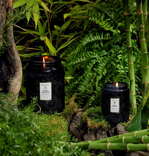 Black embossed glass Voluspa candle jars staged in a woody scene