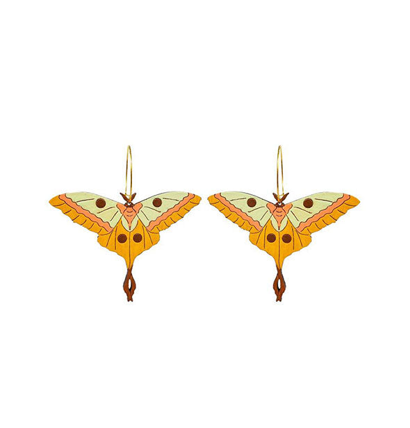 Pair of colorful moth earrings on gold hoops