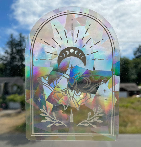 Clear moth sticker with prismatic rainbow patterning is adhered to a window