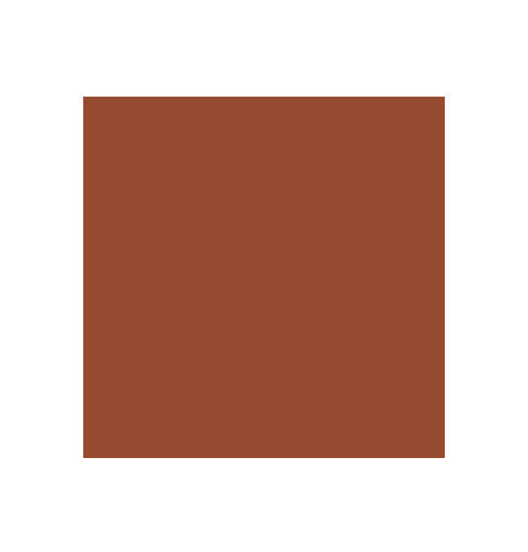 Brown color swatch