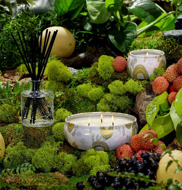 Decorative white and gold tin candles with embossed glass reed diffuser are staged with a fruit assortment on a mossy backdrop