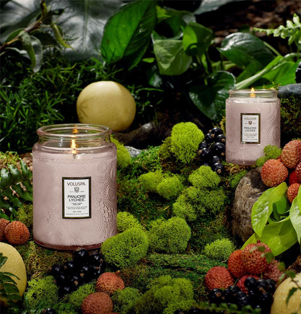 Embossed glass jar Voluspa candles in a botanical setting with moss, leaves, and fruit