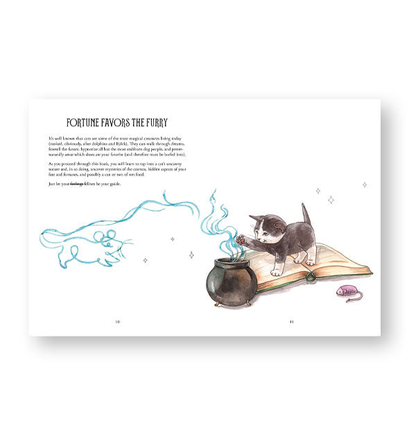 Illustrated page spread from Pawmistry features a section titled, "Fortune Favors the Furry"