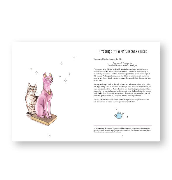 Illustrated page spread from Pawmistry features a section titled, "Is Your Cat a Mystical Guide?"