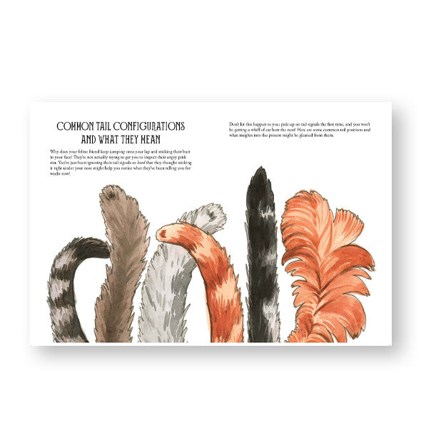 Illustrated page spread from Pawmistry features a section titled, "Common Tail Configurations and What They Mean"