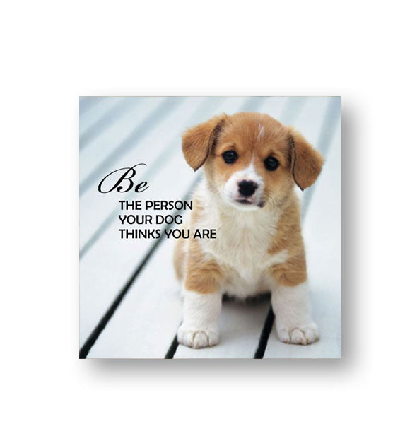 Image of a brown and white puppy says, "Be the person your dog thinks you are"