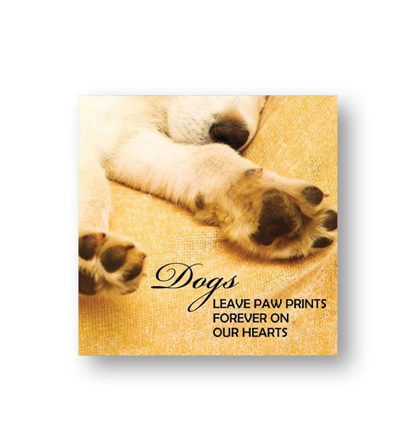 Image of a dog's nose and front paw pads says, "Dogs leave paw prints forever on our hearts"
