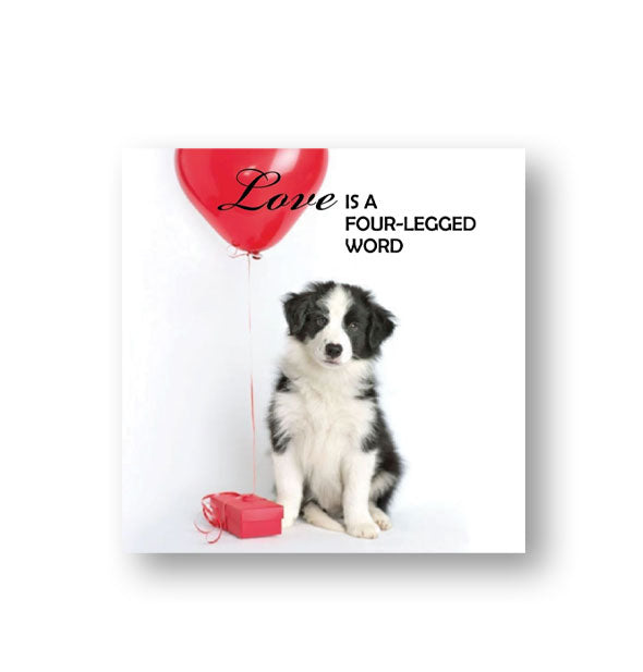 Image of a young furry black and white dog with a red balloon and gift box says, "Love is a four-legged word"