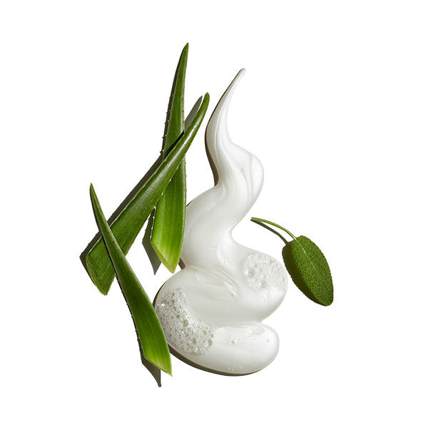 Squiggle of white, slightly bubbled cleanser with sprigs of aloe plant and a sage leaf