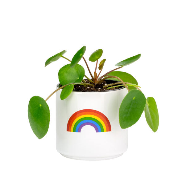 White planter pot with rainbow graphic and a leafy green plant growing out the top