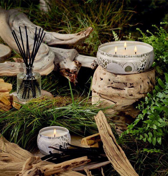 Decorative white and gold candle tins with embossed glass reed diffuser are staged with pieces of driftwood against a grassy backdrop