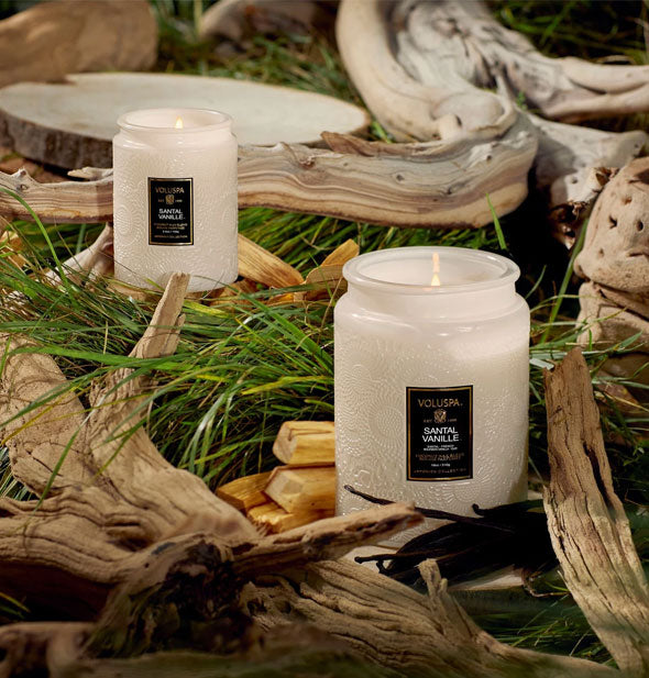 Frosty white embossed glass candle jars with pieces of driftwood against a grassy backdrop