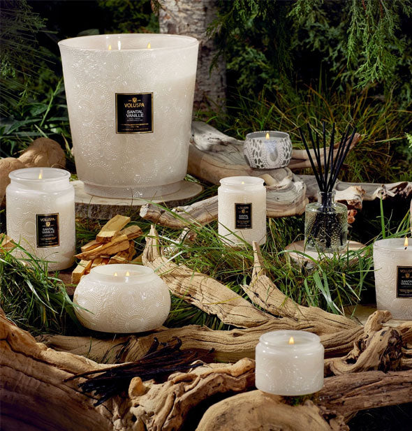 An assortment of white embossed glass candle jars against a woody backdrop