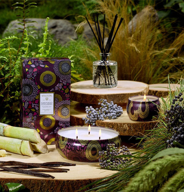Decorative purple and gold candle tins with matching box and embossed glass reed diffuser on a woody, grassy backdrop