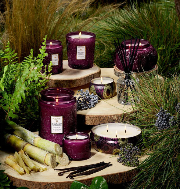 Metallic and purple embossed glass candle assortment on log cross sections against a grassy backdrop