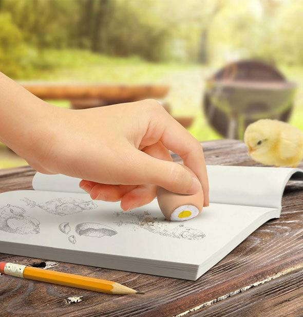 Model erases illustration of a chick with a Scriblled Egg eraser 