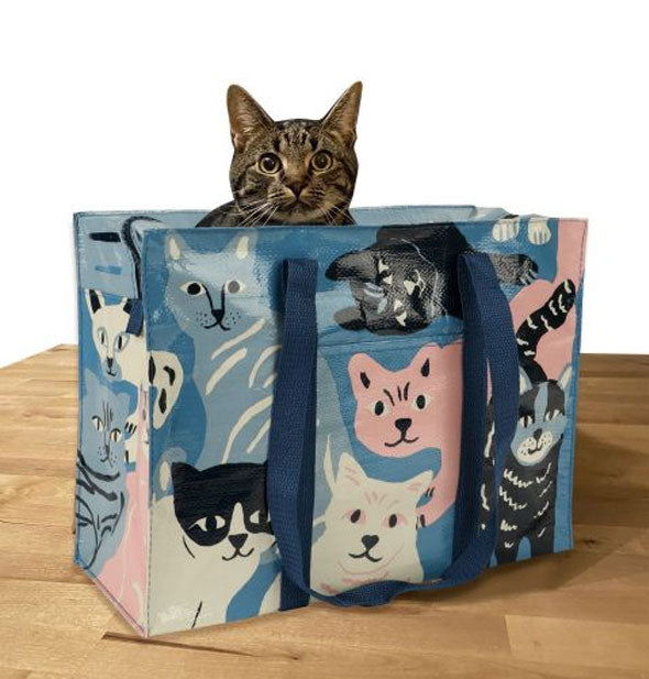 A cat sits in and peeks out of the open top of a blue shoulder bag with all-over cat print