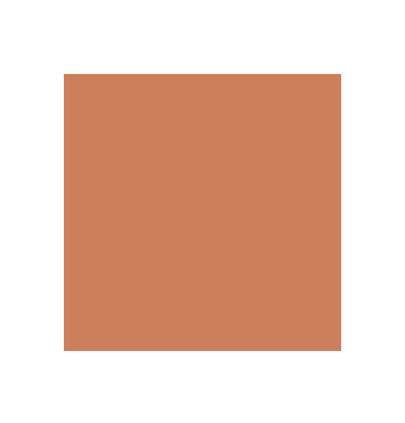 Tan color swatch
