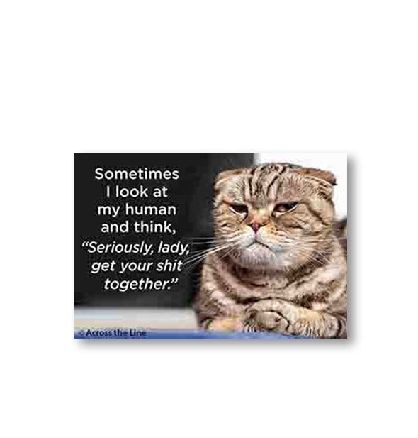 Rectangular magnet with image of a Scottish Fold cat with squinted eyes and crossed paws says, "Sometimes I look at my human and think, 'Seriously, lady, get your shit together.'"