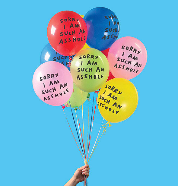 Model's hand holds an assortment of colorful balloons with, "Sorry I am such an asshole" printed on each in black handwritten lettering against a blue backdrop