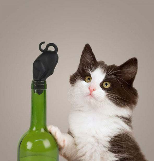 A black and white kitten looks at the Kitty Wine Stopper stuck into the opening of a wine bottle