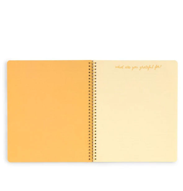 Open notebook with spiral-bound yellow centerfold pages, one of which says, "What are you grateful for?" at the top