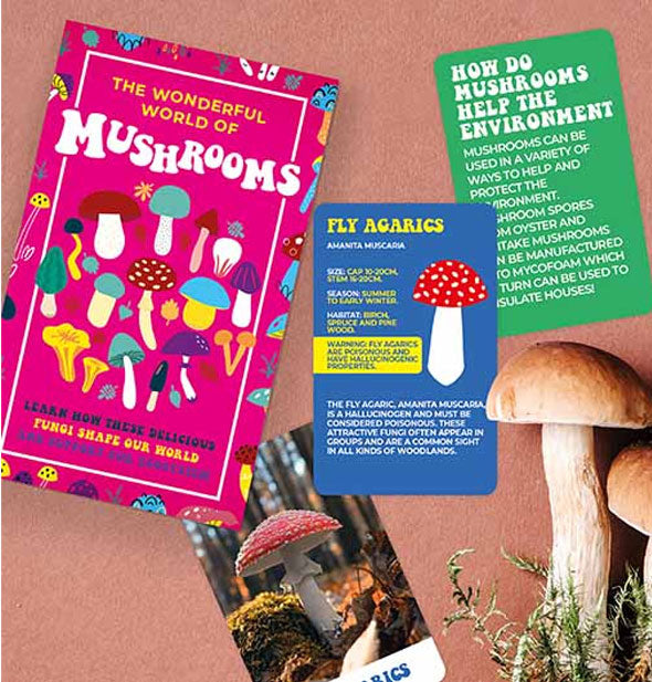 The Wonderful World of Mushrooms card pack with several cards removed and staged with mushrooms and botanicals in the lower right corner