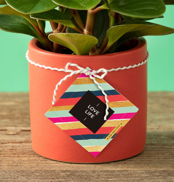 Colorfully striped Love Life card hangs by white twine from a potted plant on a wooden surface