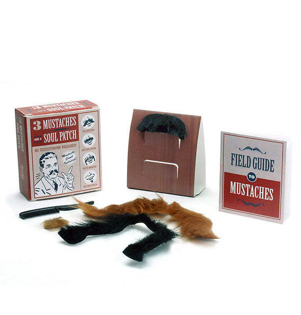 Contents of the 3 Mustaches and a Soul Patch faux facial hair kit