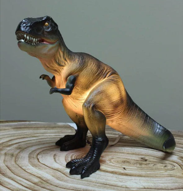 Tyrannosaurus rex lamp is lit up from within and sits on a wooden surface