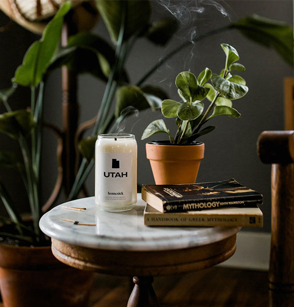 A just-blown-out Utah Candle sits on a marble tabletop with potted plant and books